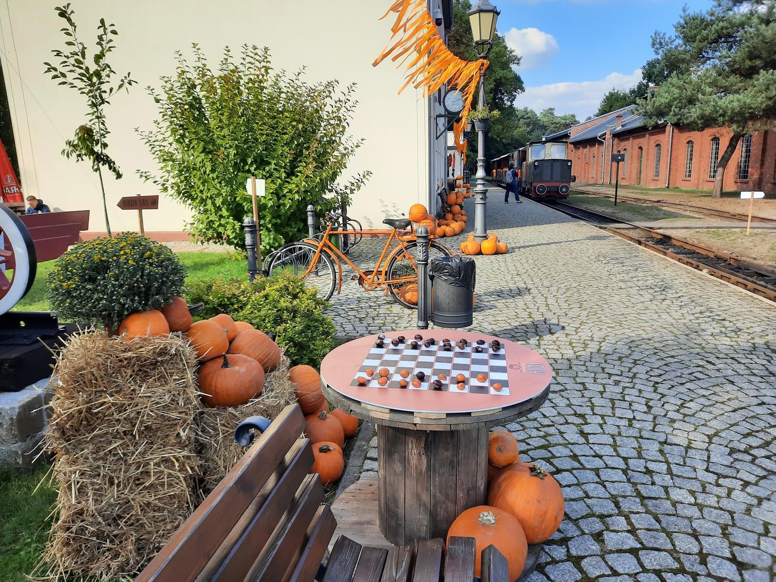 Farma dyniowa Rudy Raciborskie