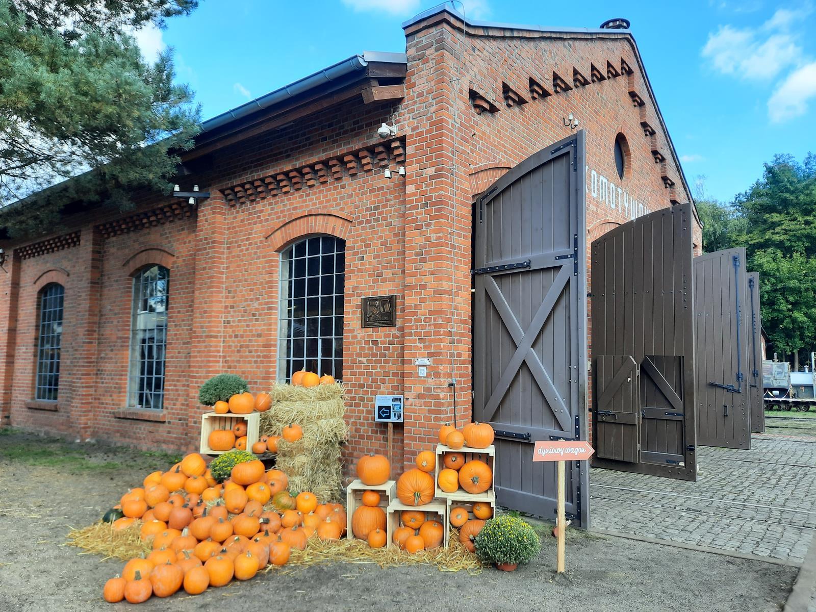 Farma dyniowa Rudy Raciborskie