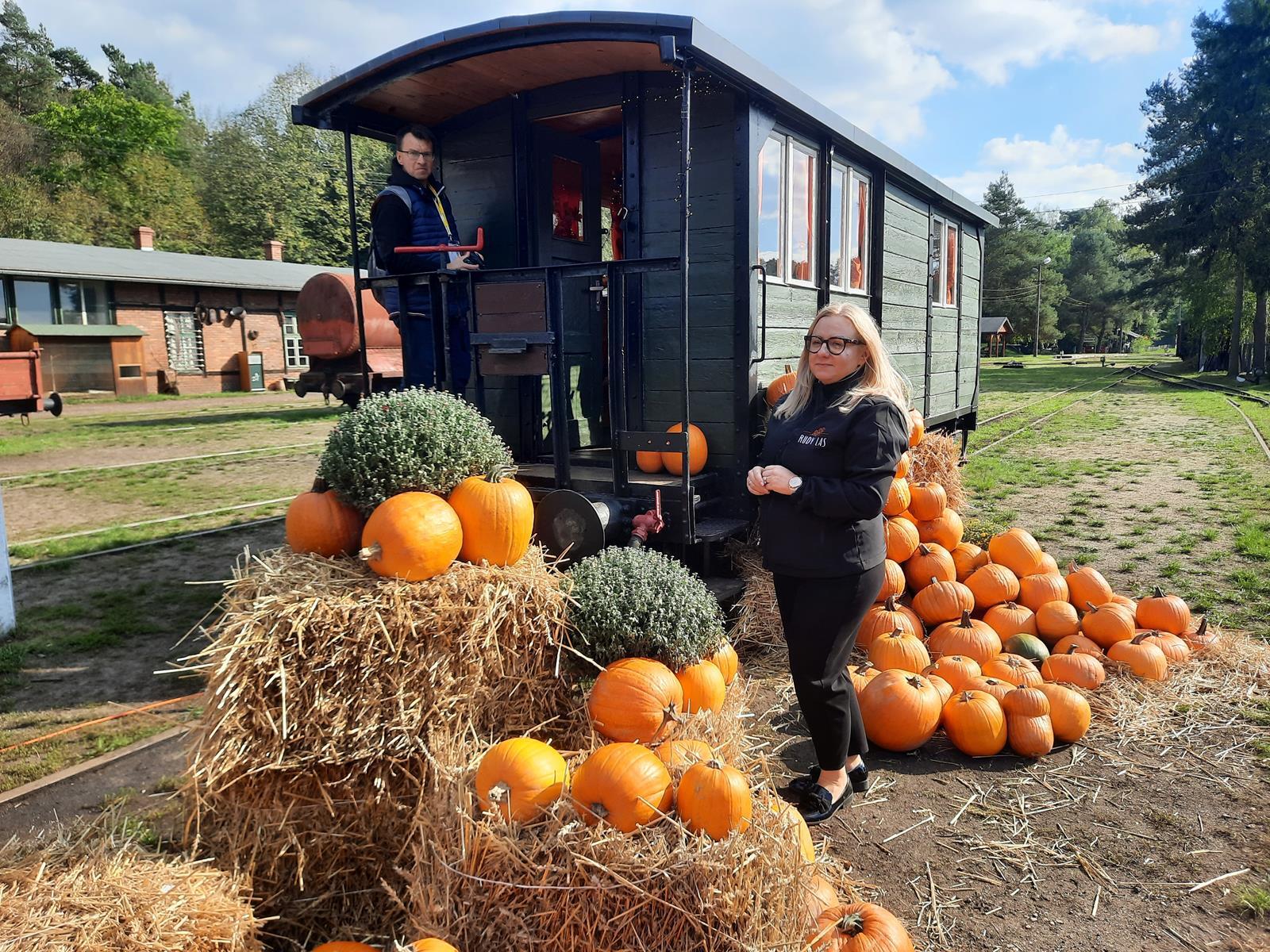 Farma dyniowa Rudy Raciborskie