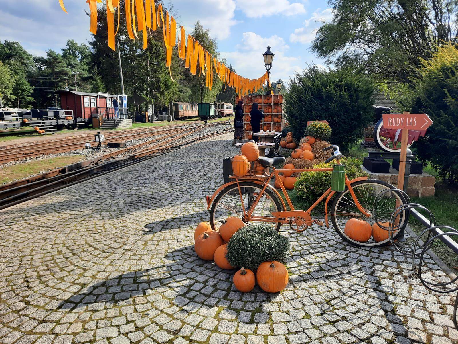 Farma dyniowa Rudy Raciborskie