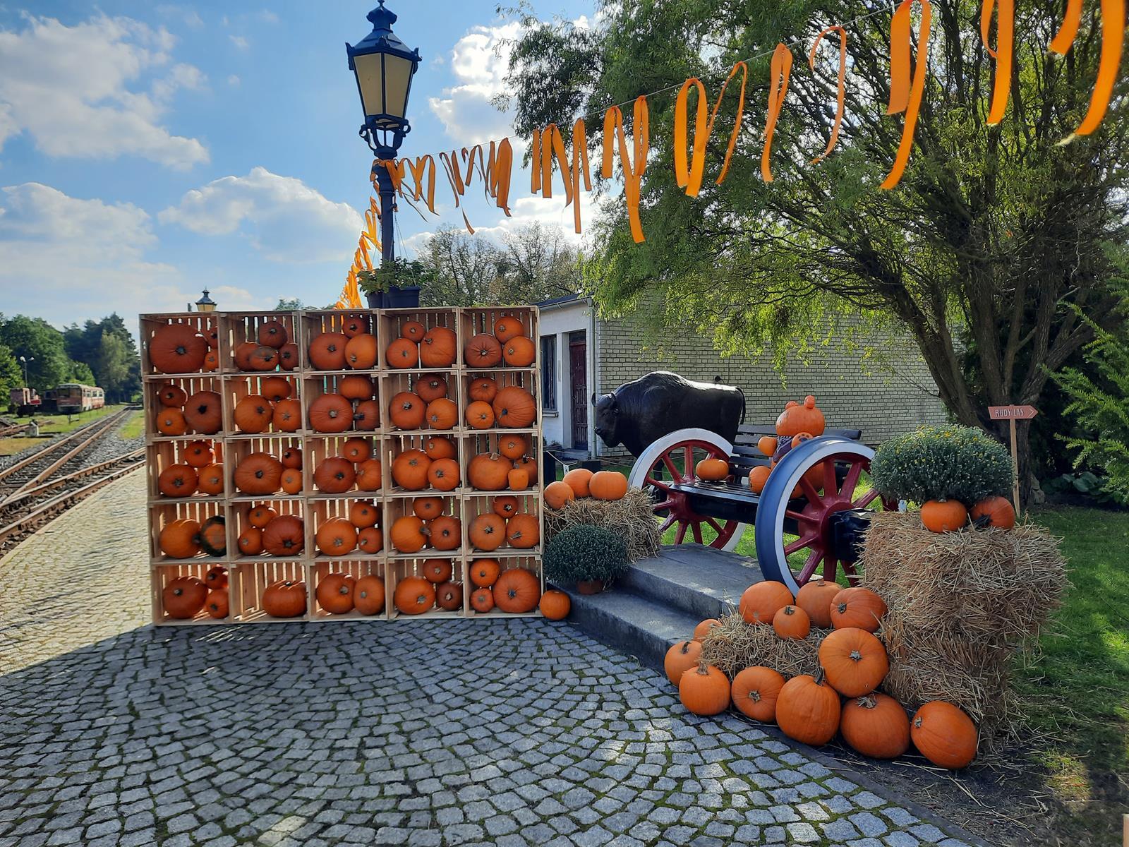 Farma dyniowa Rudy Raciborskie