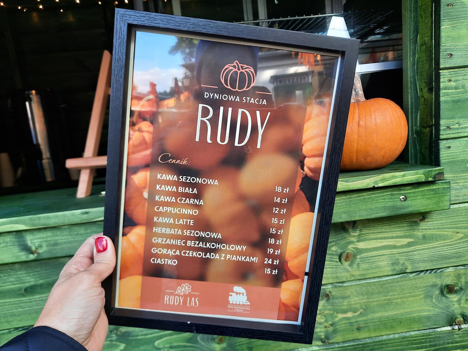 Farma dyniowa Rudy Raciborskie