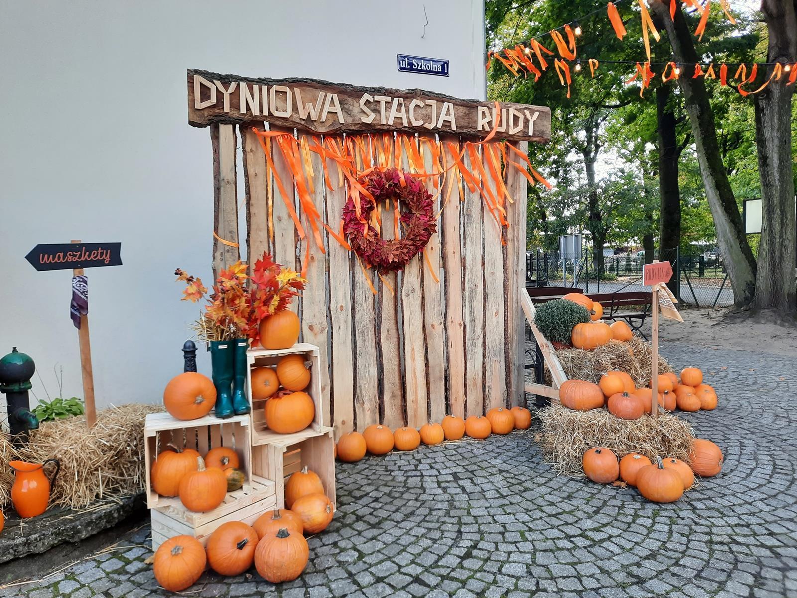 Farma dyniowa Rudy Raciborskie