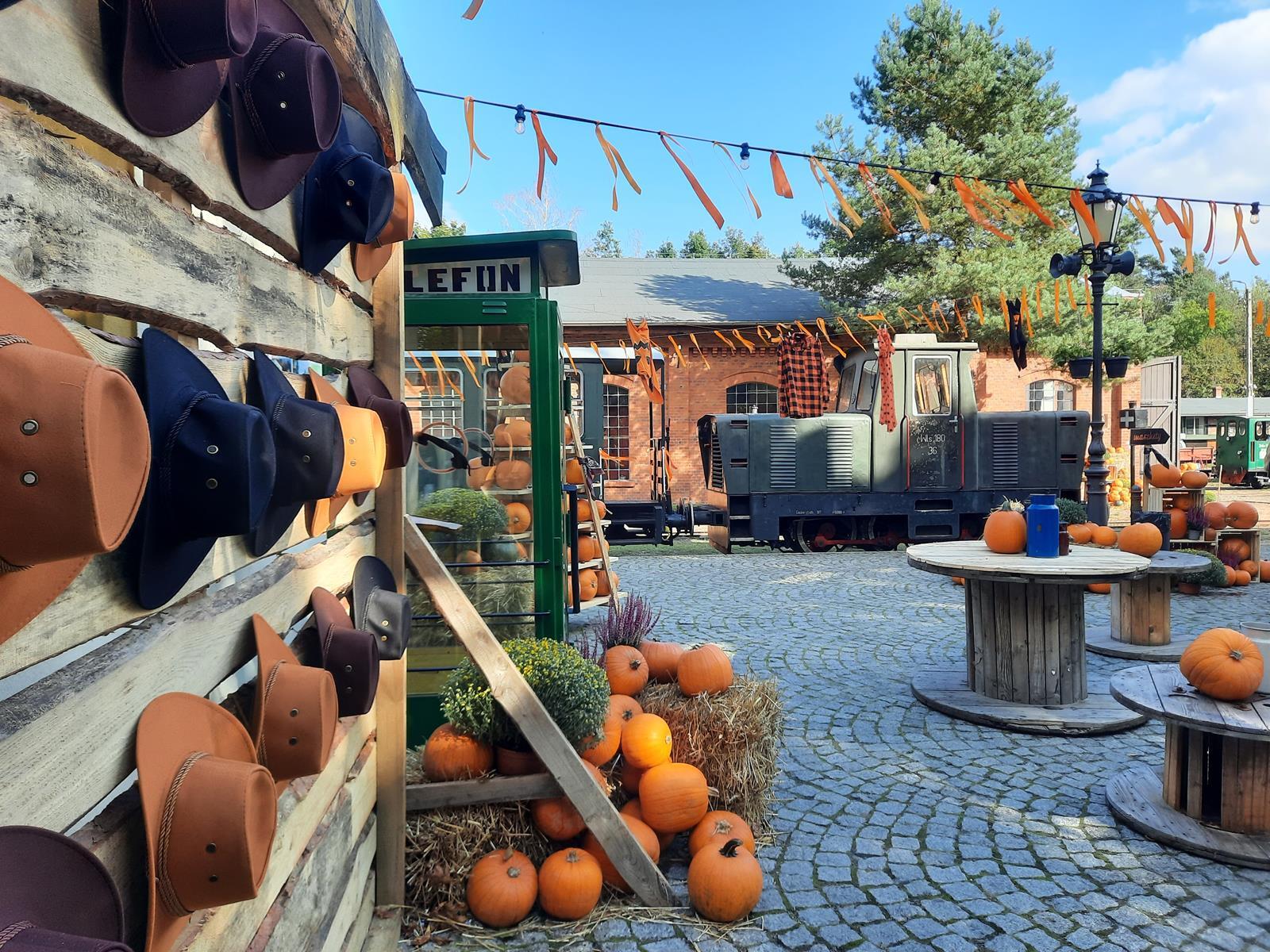 Farma dyniowa Rudy Raciborskie