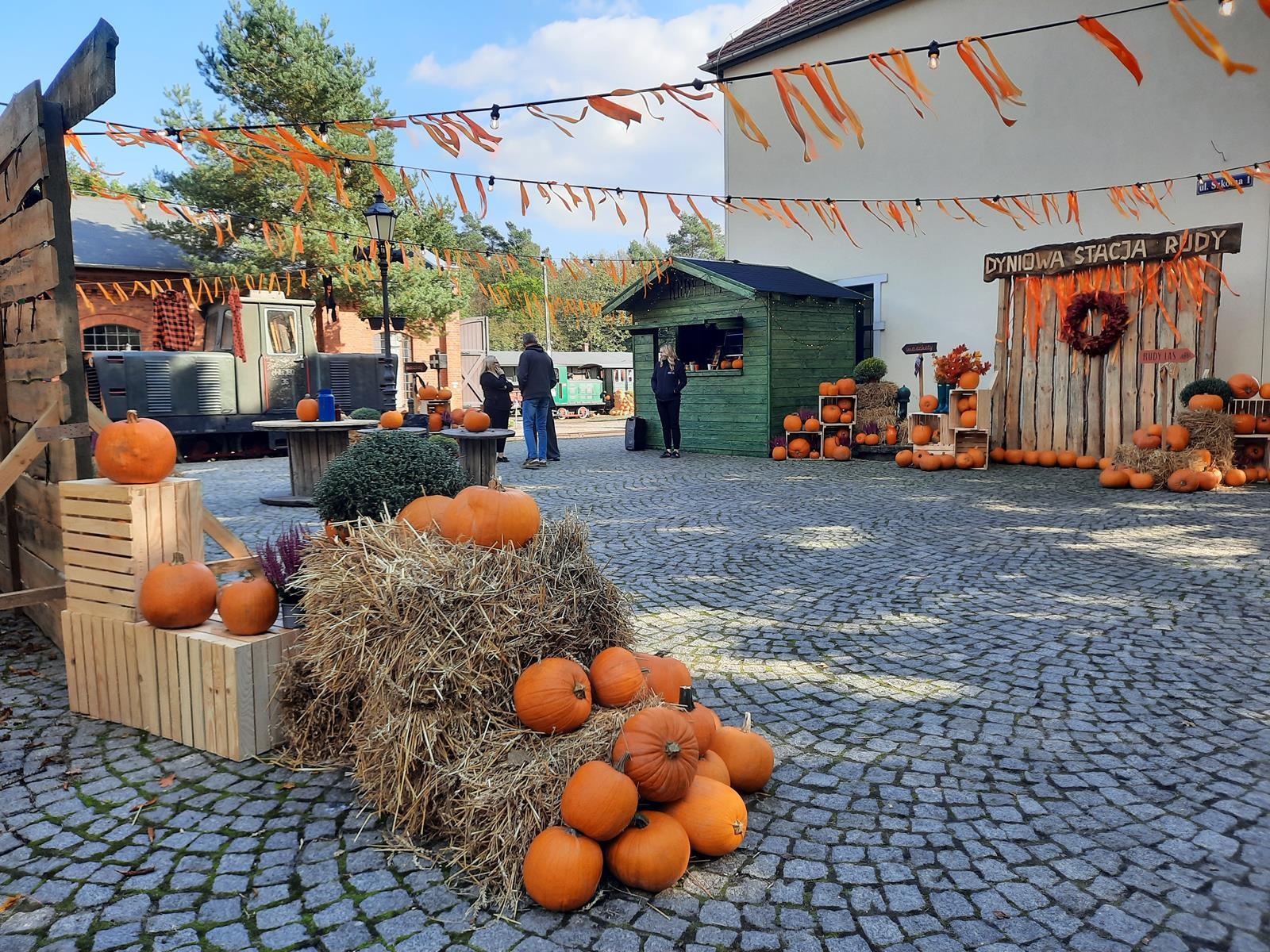 Farma dyniowa Rudy Raciborskie