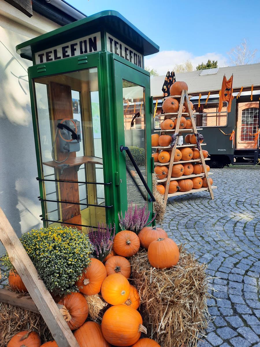 Farma dyniowa Rudy Raciborskie