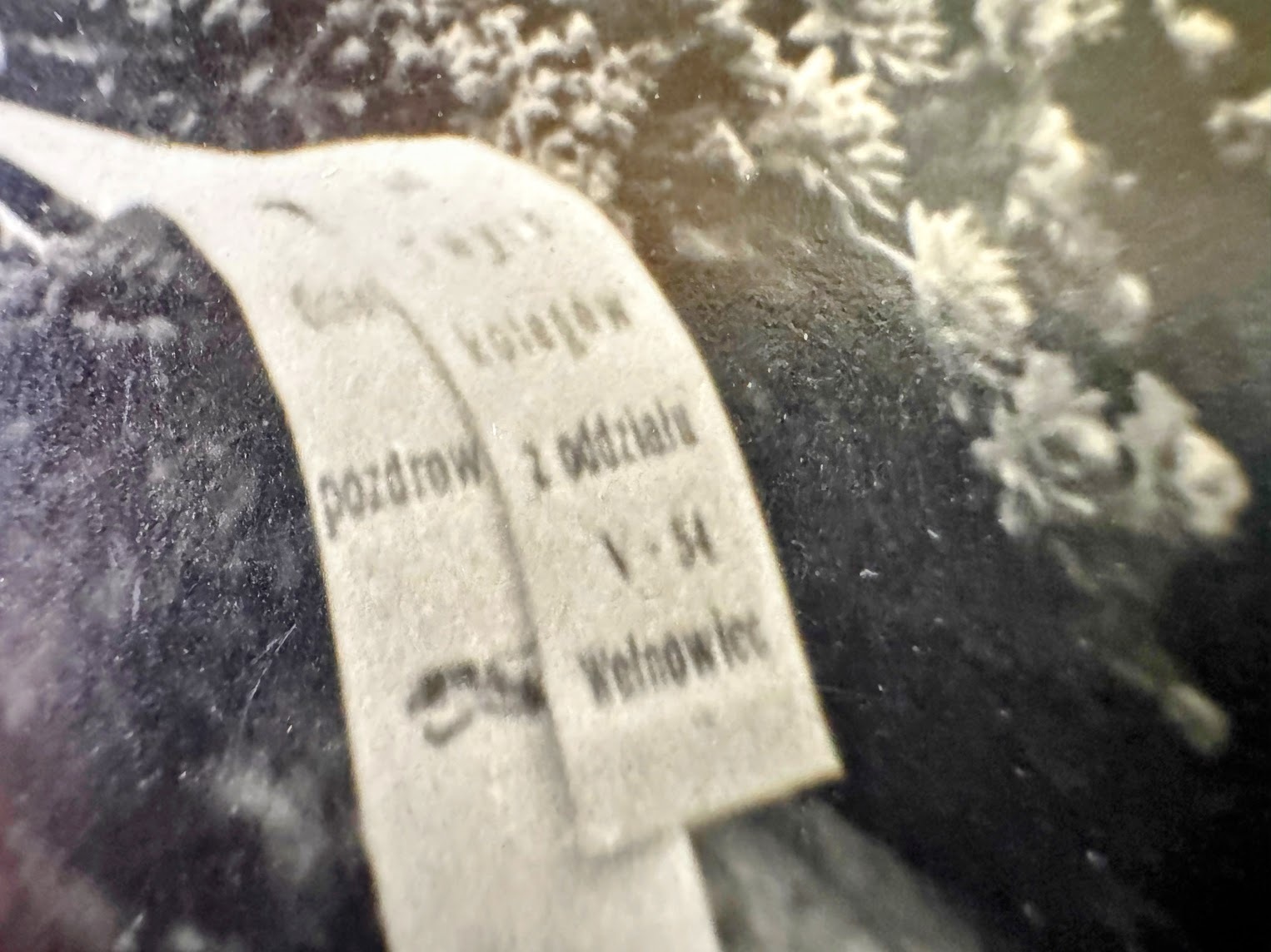 Fotografie z archiwum rodziny Henryka Heruda 14