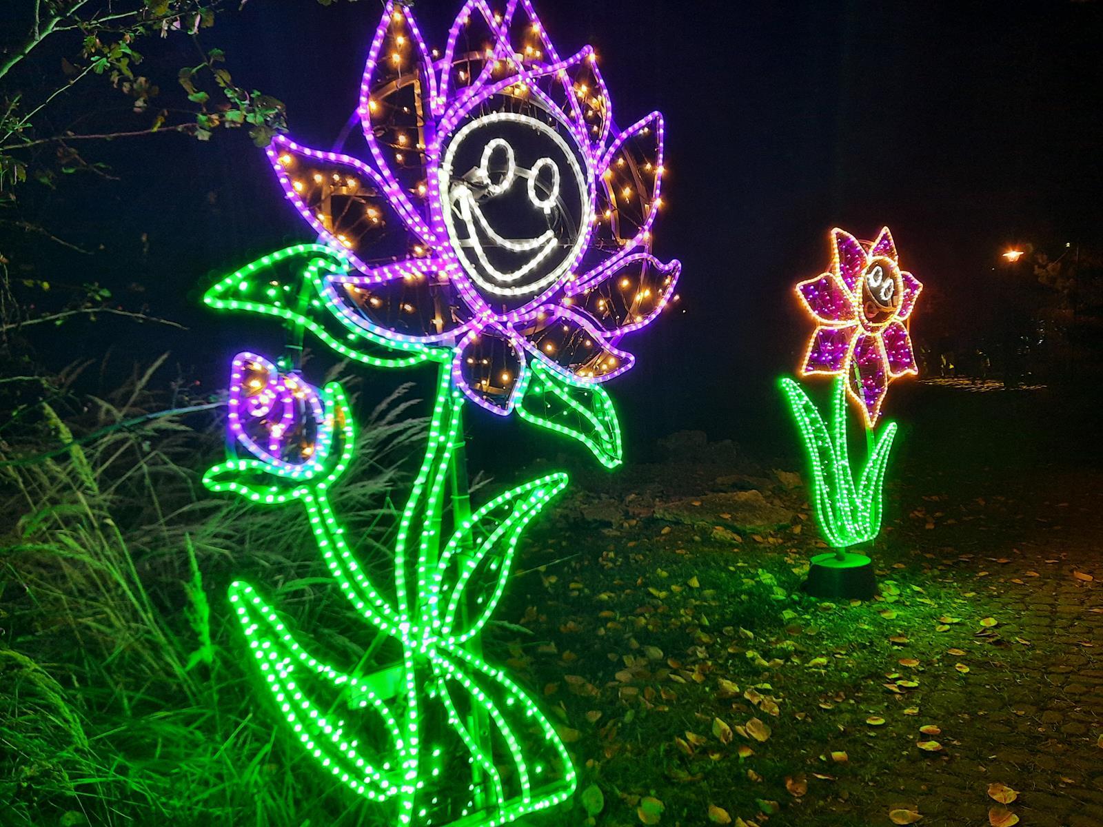 Garden of Lights Mikolow 2025 2026 11 Copy