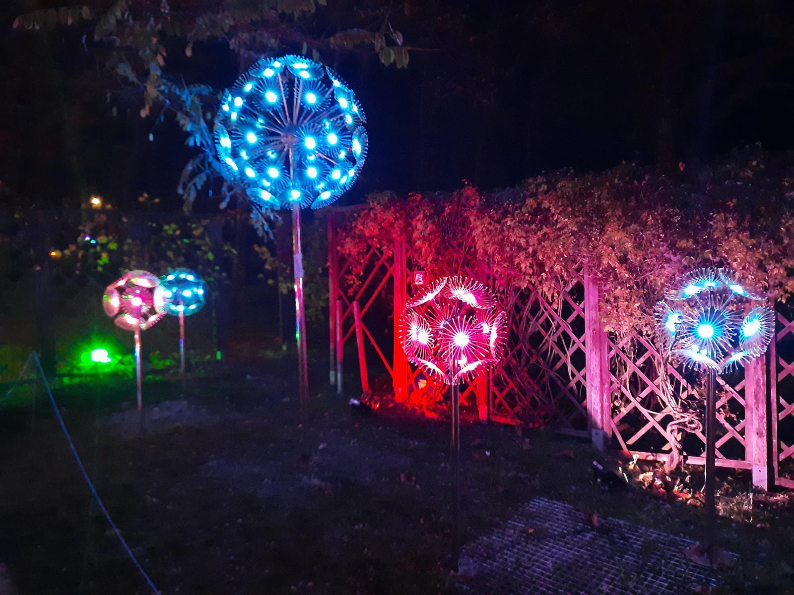 Garden of Lights Mikolow 2025 2026 13 Copy