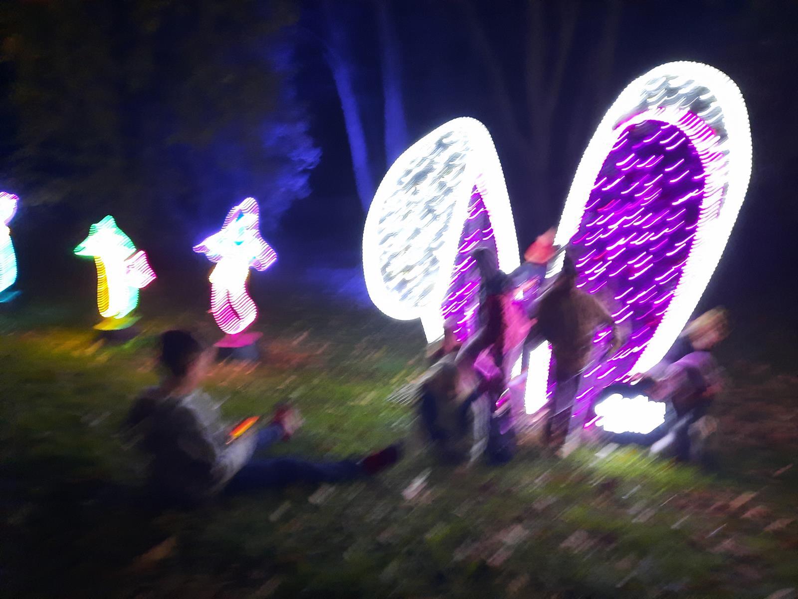 Garden of Lights Mikolow 2025 2026 14 Copy