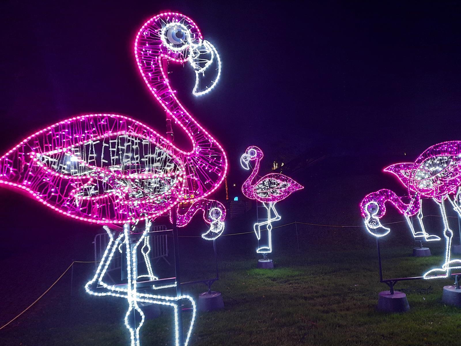 Garden of Lights Mikolow 2025 2026 20 Copy