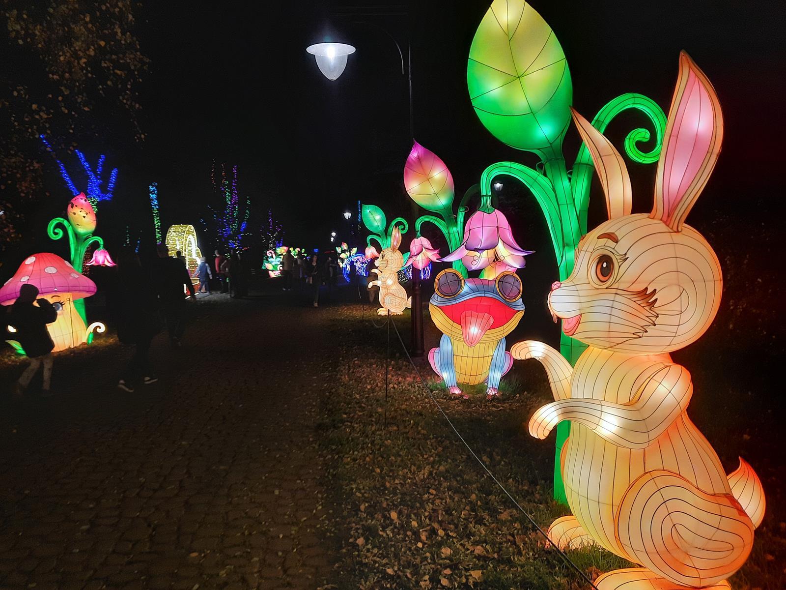 Garden of Lights Mikolow 2025 2026 22 Copy