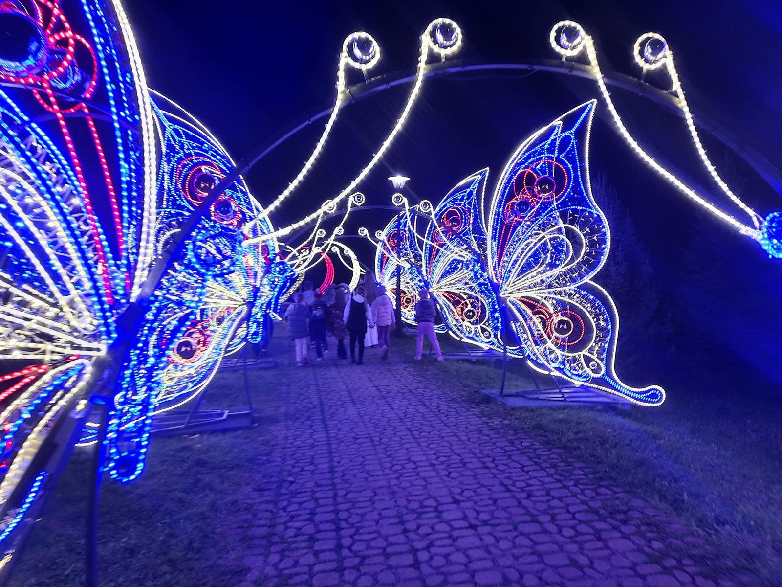 Garden of Lights Mikolow 2025 2026 5 Copy