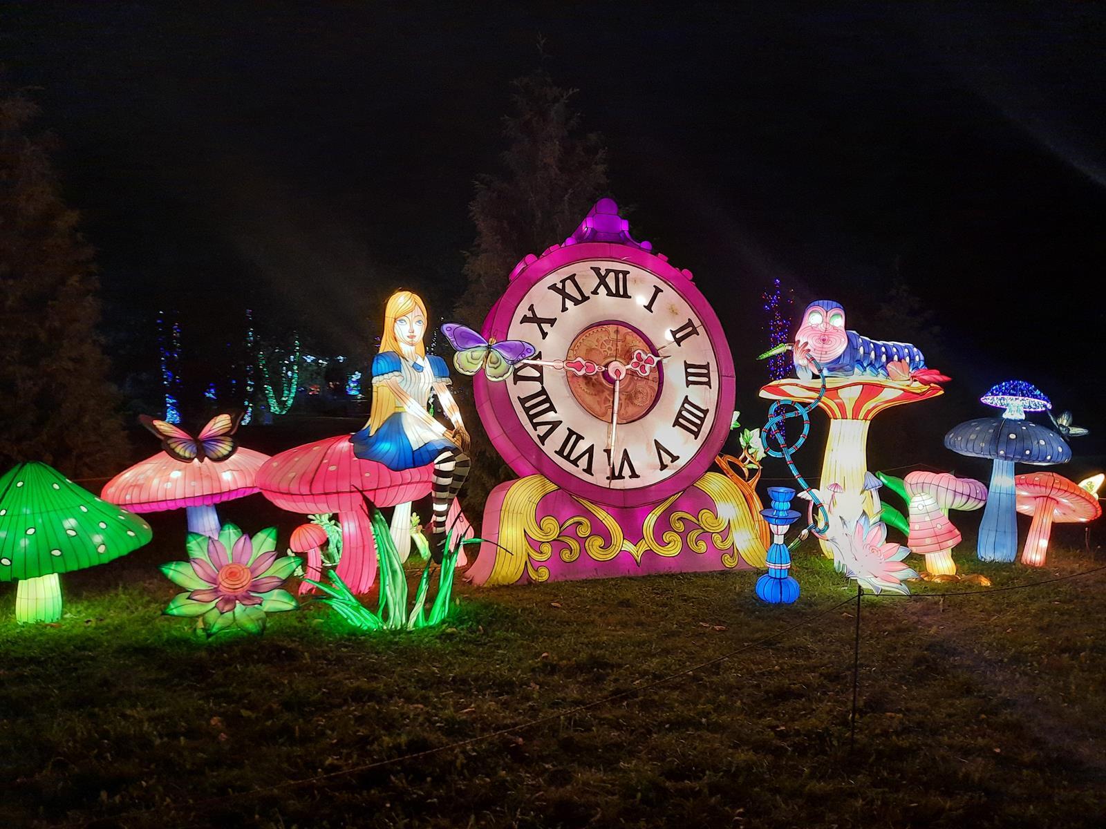 Garden of Lights Mikolow 2025 2026 6 Copy
