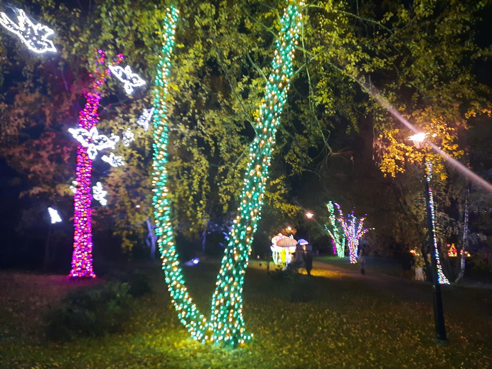 Garden of Lights Mikolow 2025 2026 7 Copy