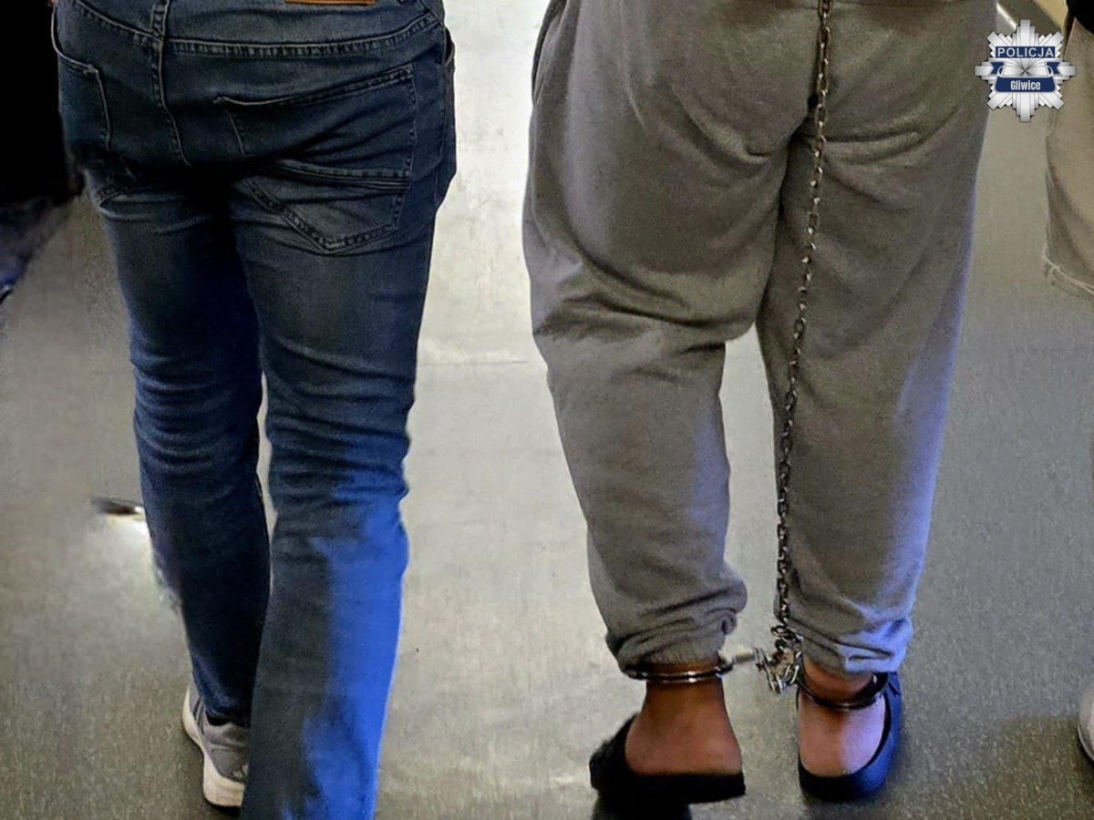 Gliwice. Zatrzymanie podejrzanego o prezentowanie czynności seksualnych dzieciom. 4 sierpnia 2026