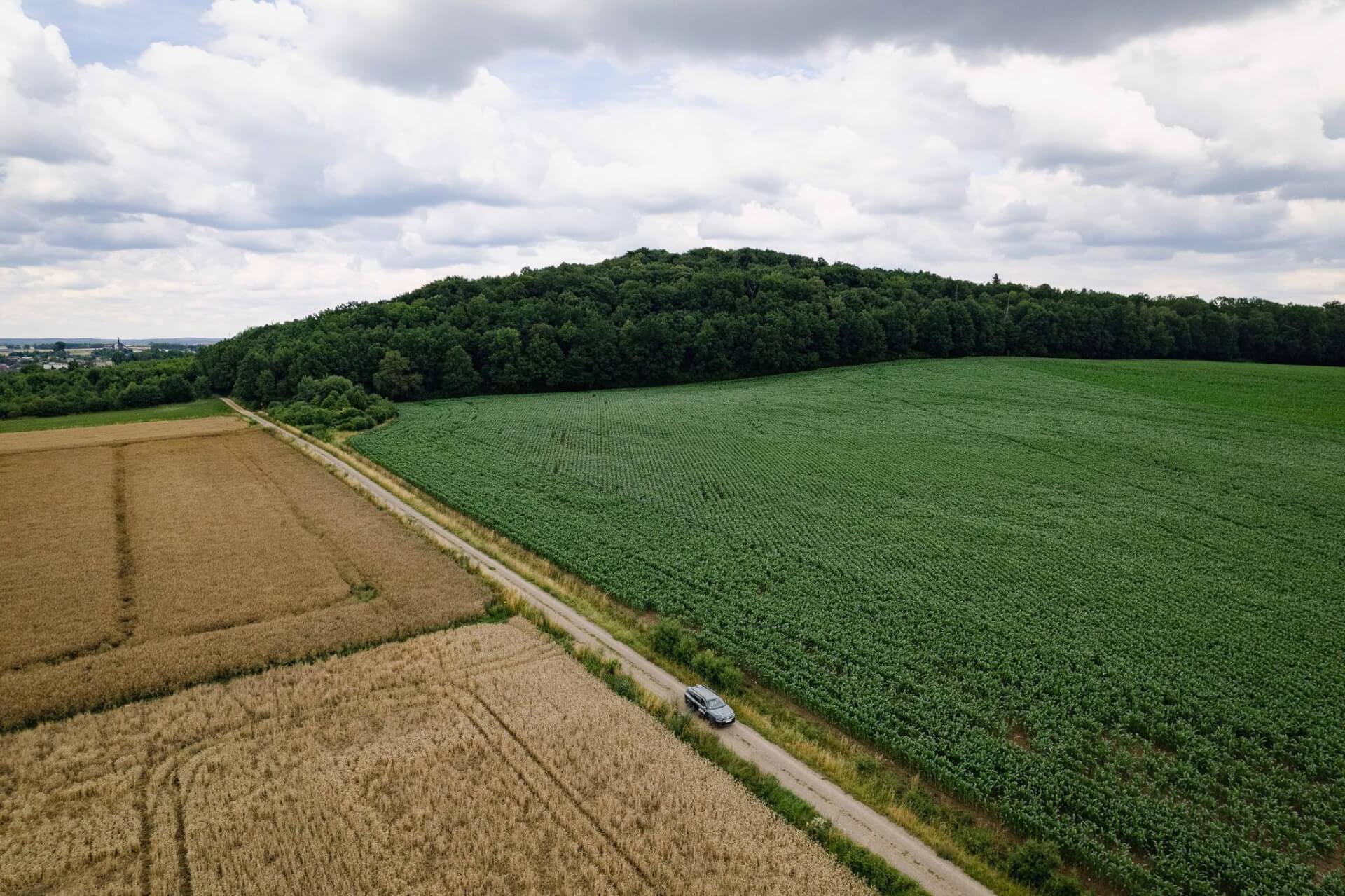Góra Grojec. Fot. Mateusz Bałwas