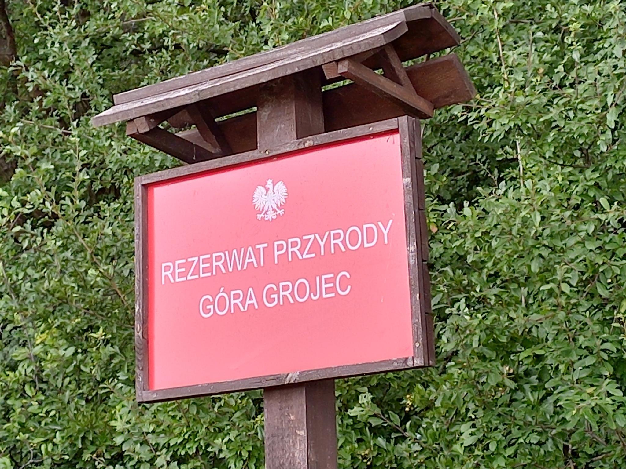 Rezerwat Przyrody Góra Grojec. Fot. Katarzyna Pachelska