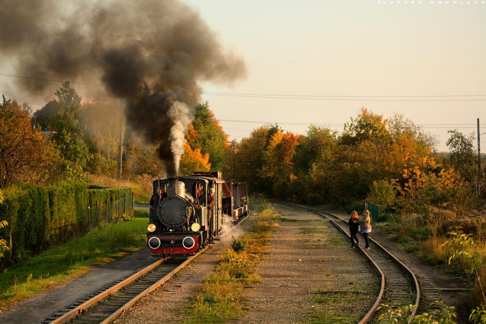 Gornoslaskie Koleje Waskotorowe 3