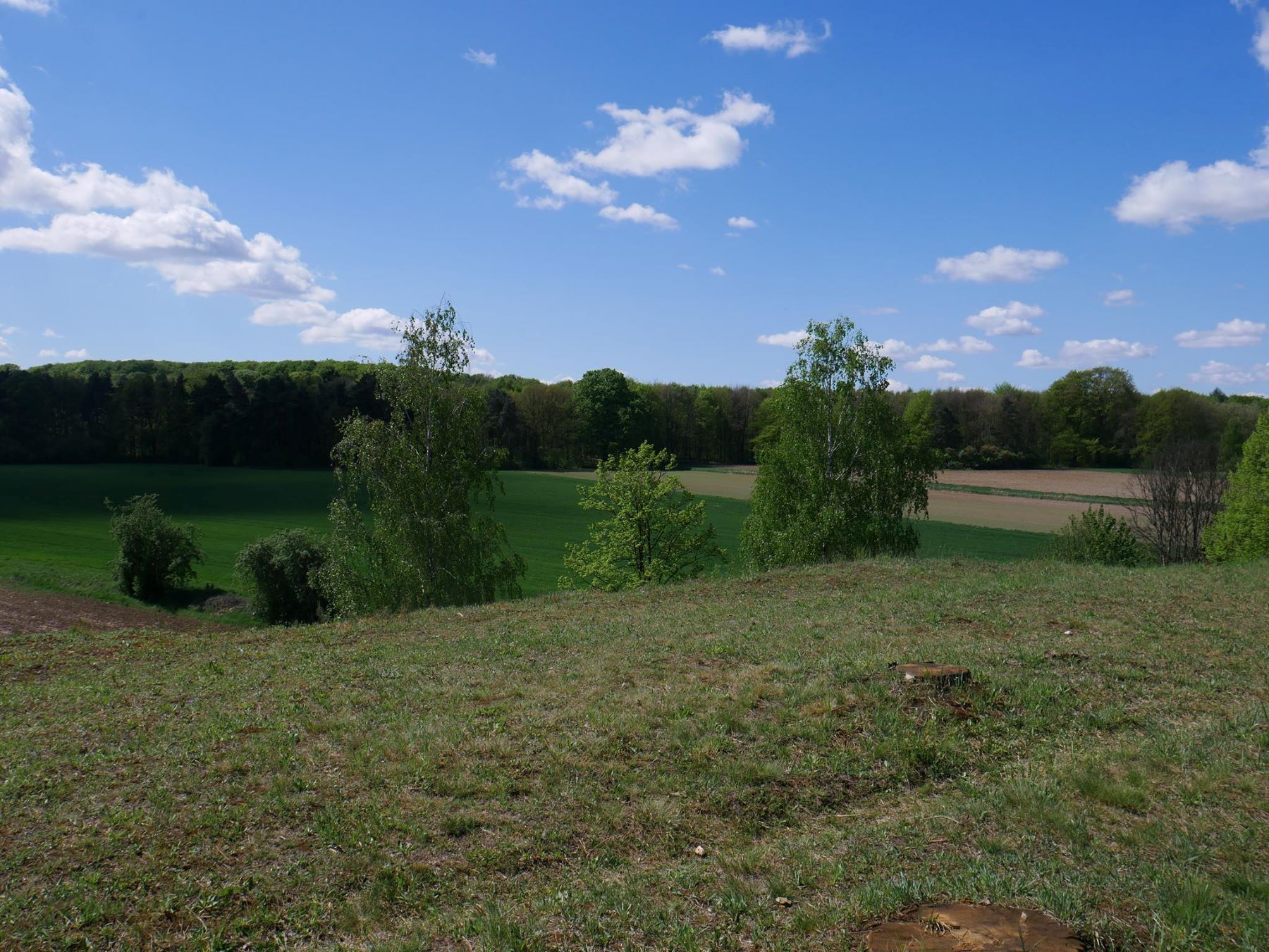 Halda popłuczkowa 03