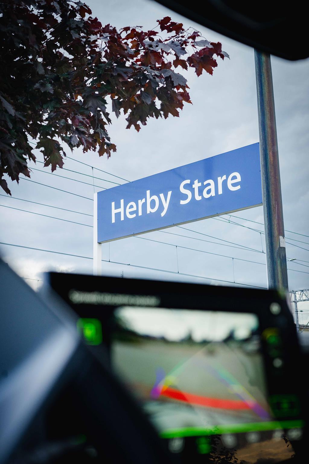Herby Stare
