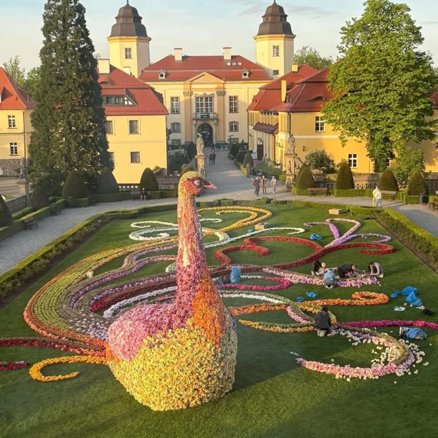 Taki ptak pojechał do Wałbrzycha