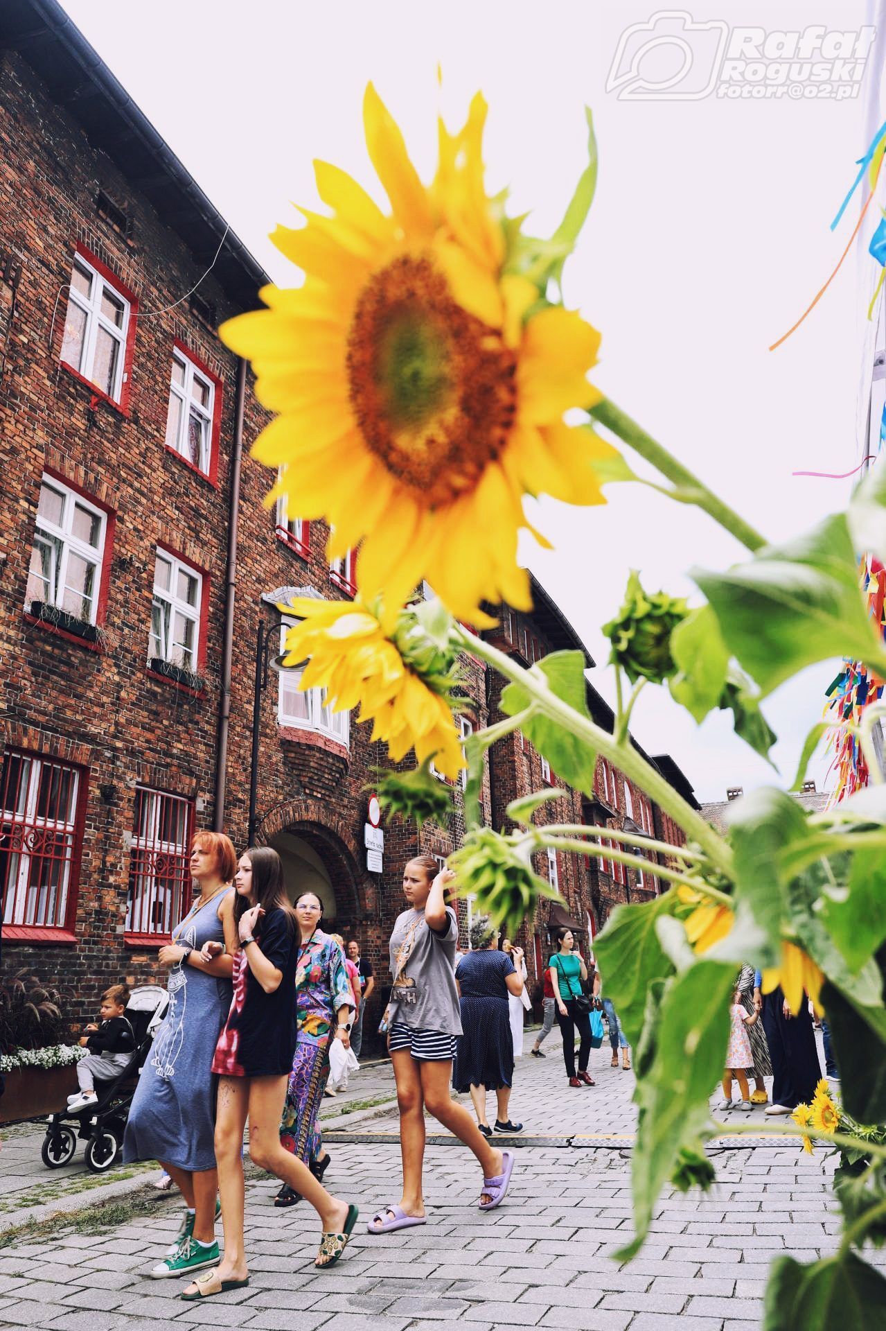 Jarmark u Babci Anny Nikiszowiec 2024 5