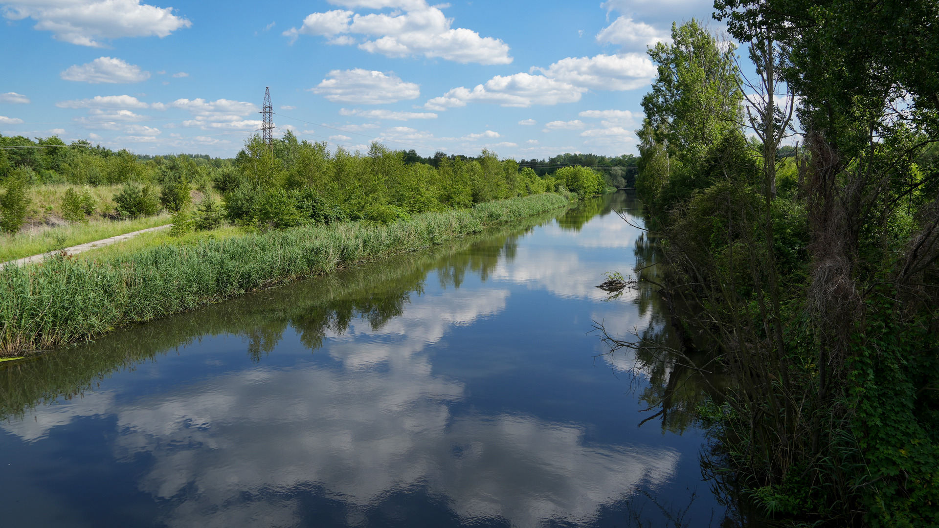 Przemsza w Jaworznie. Czerwiec 2022.