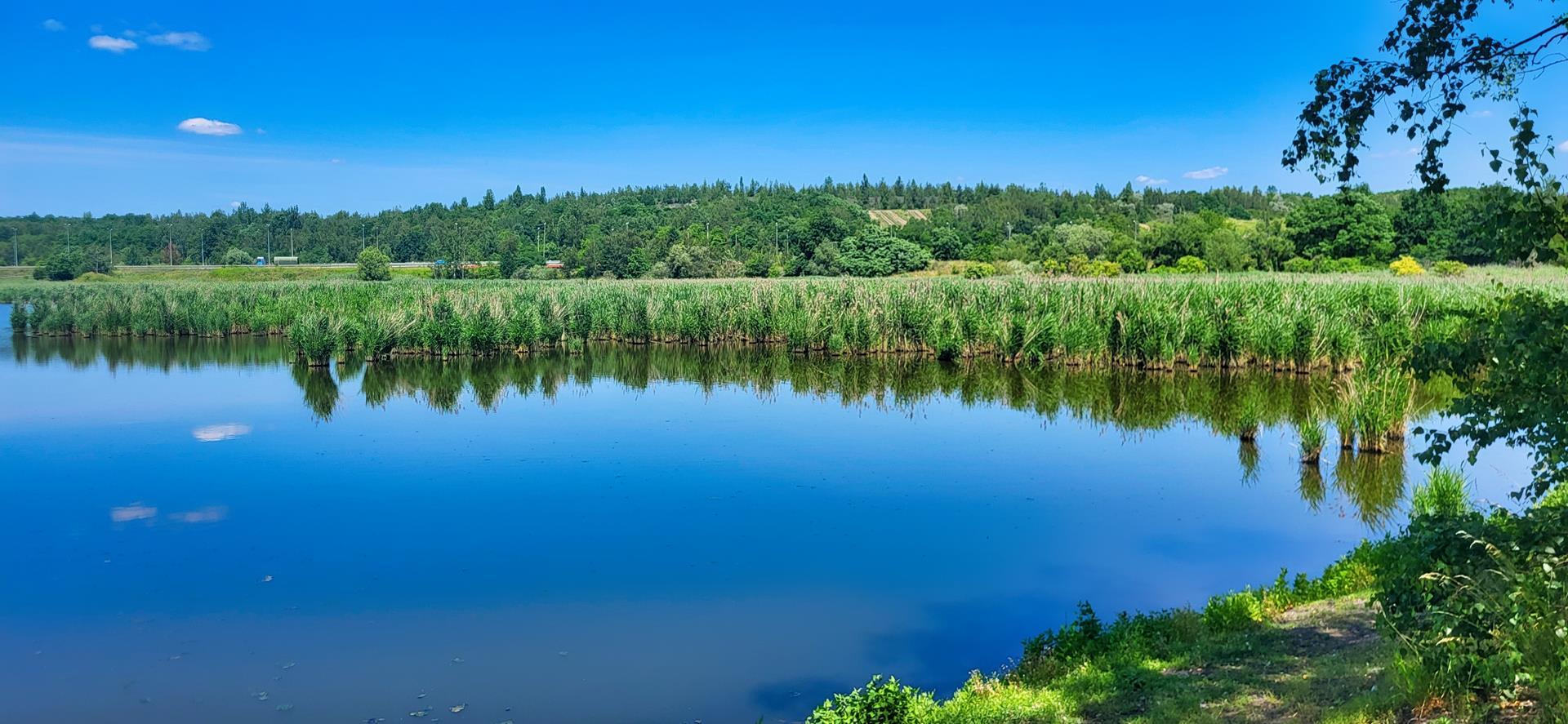 Jezioro Farskie, czerwiec 2025