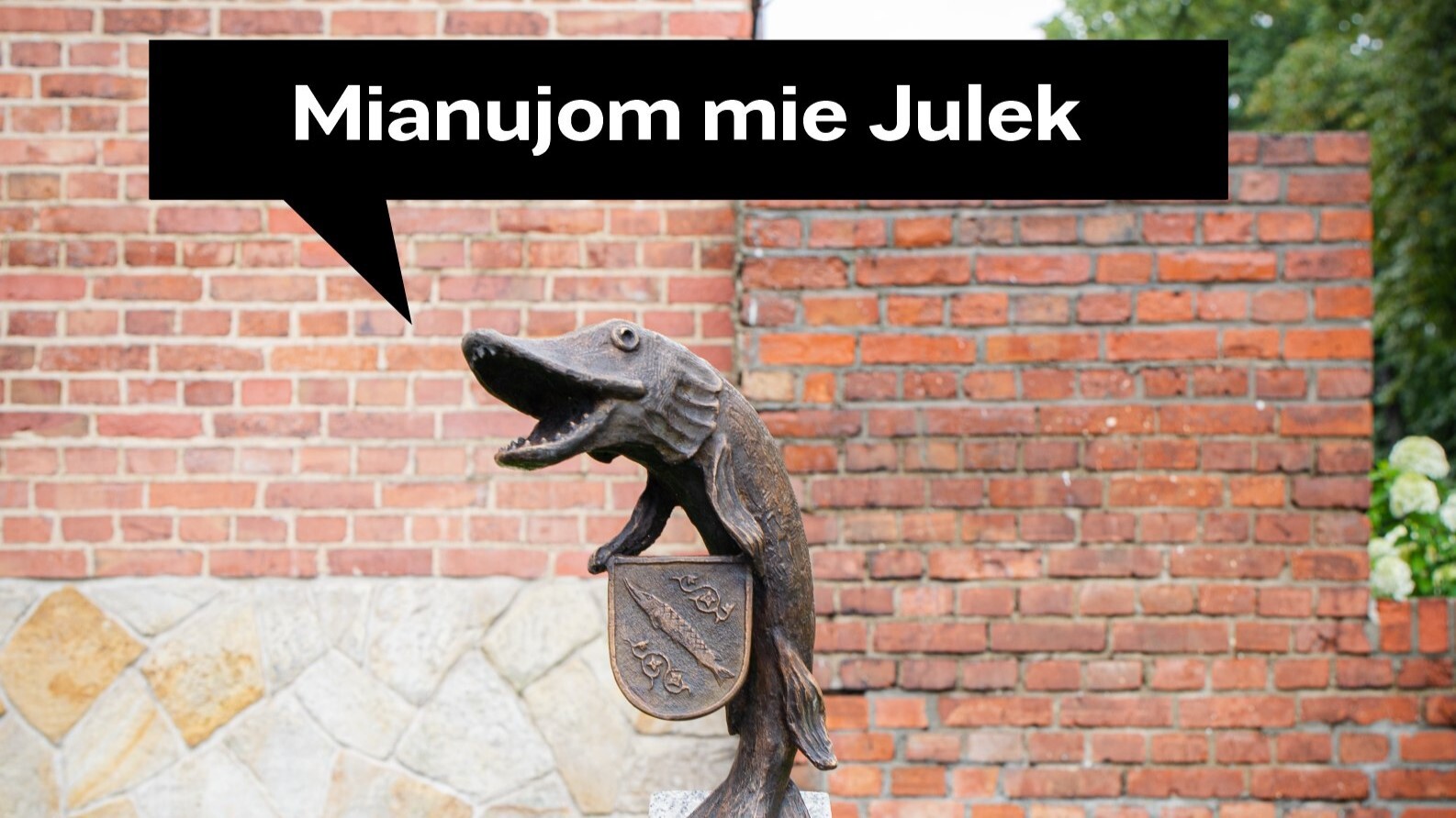 Julek - Szczupak z Rybnika
