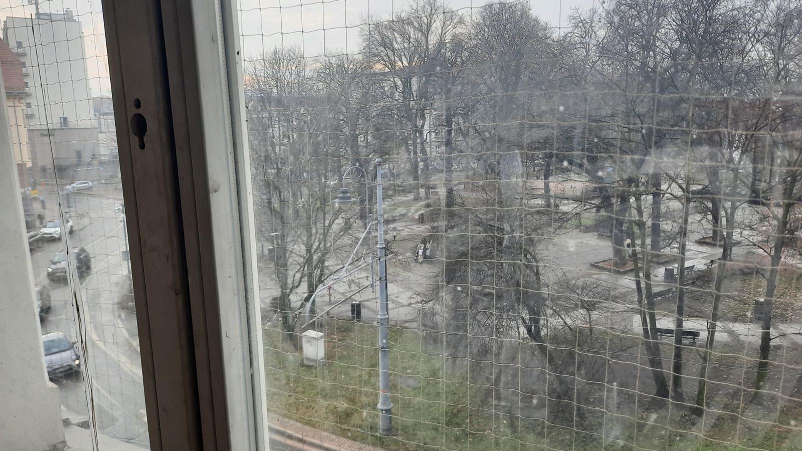 Kamienica Sokolska pl Wolnosci Katowice 13 Copy