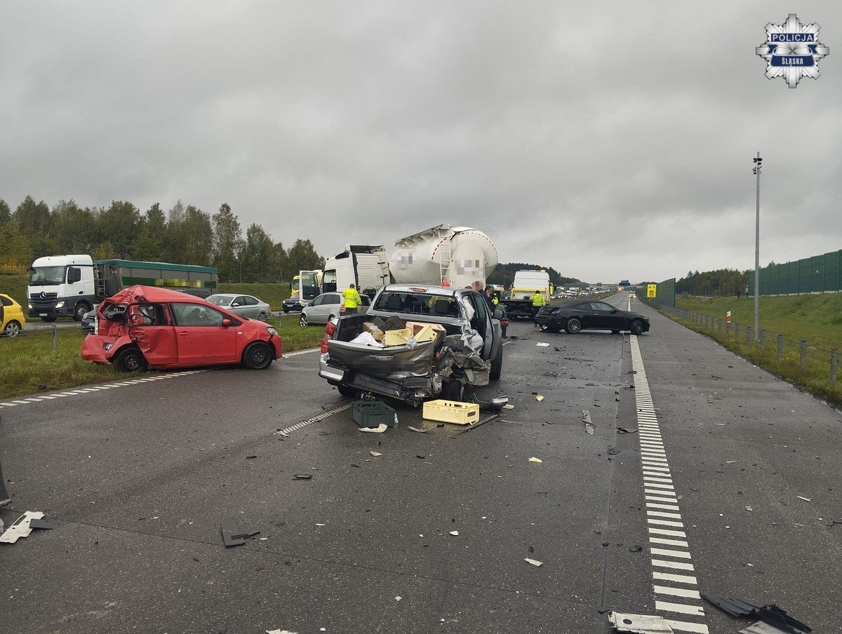 Karambol na A1 w Wierzchowisku