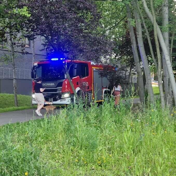 Katowice Dolina Trzech Stawow Laka Utoniecie Mezczyzny Zrodlo 112 Katowice Sluzby Ratunkowe 2025 06 21 04