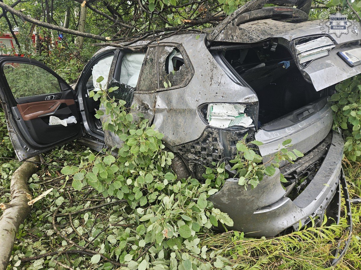 Kierowca BMW z Katowic uderzył w drzewo