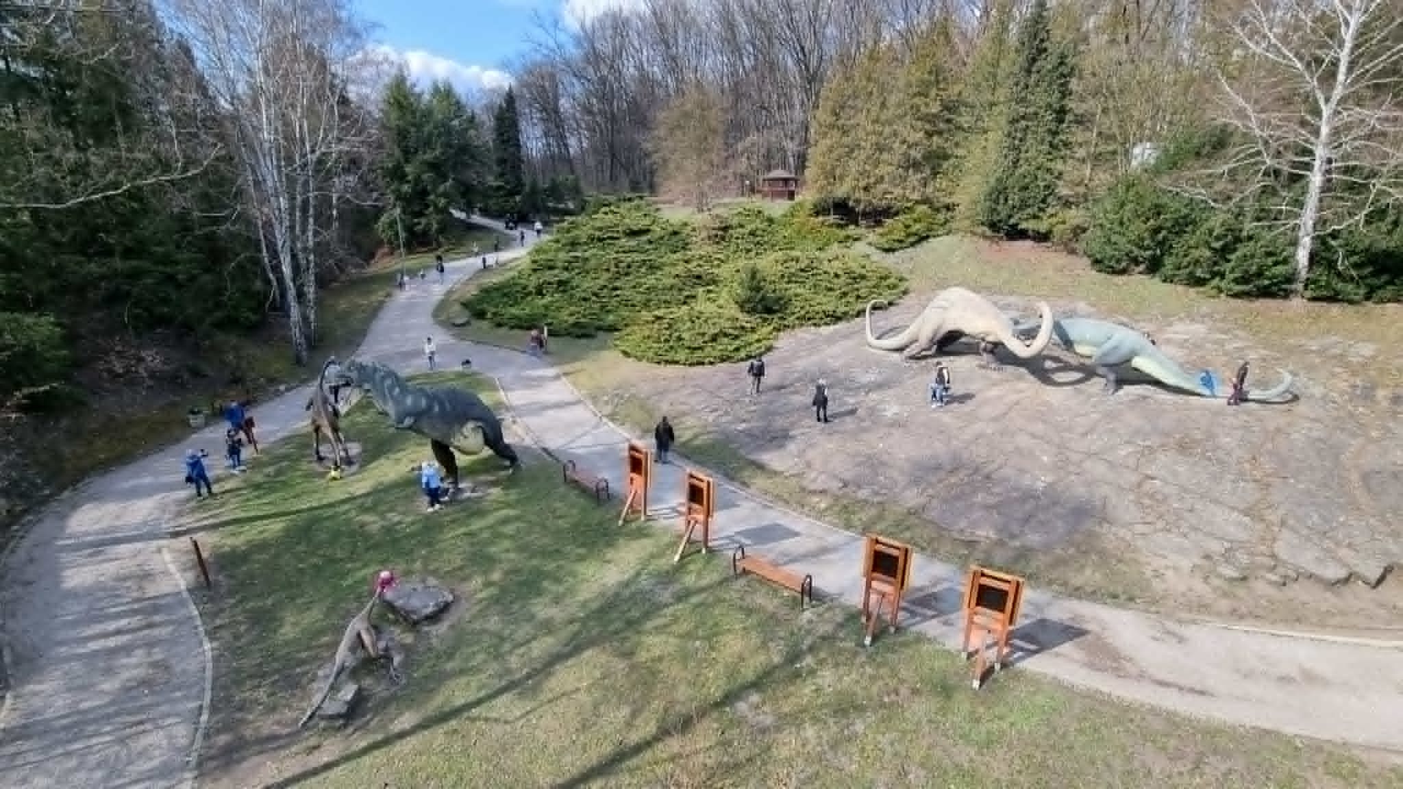 Kladka nad Kotlina Dinozaurow 5