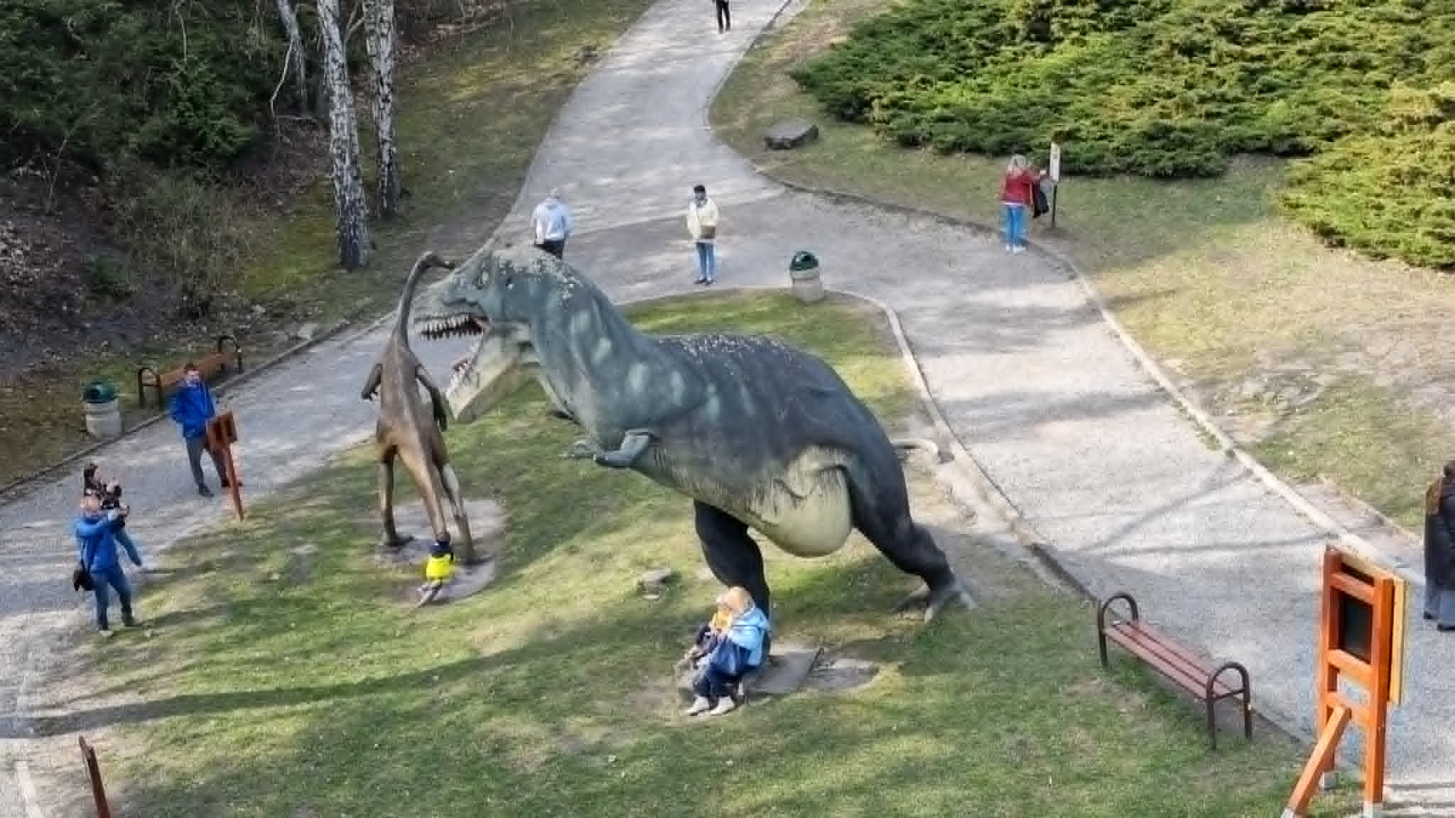 Kladka nad Kotlina Dinozaurow 6