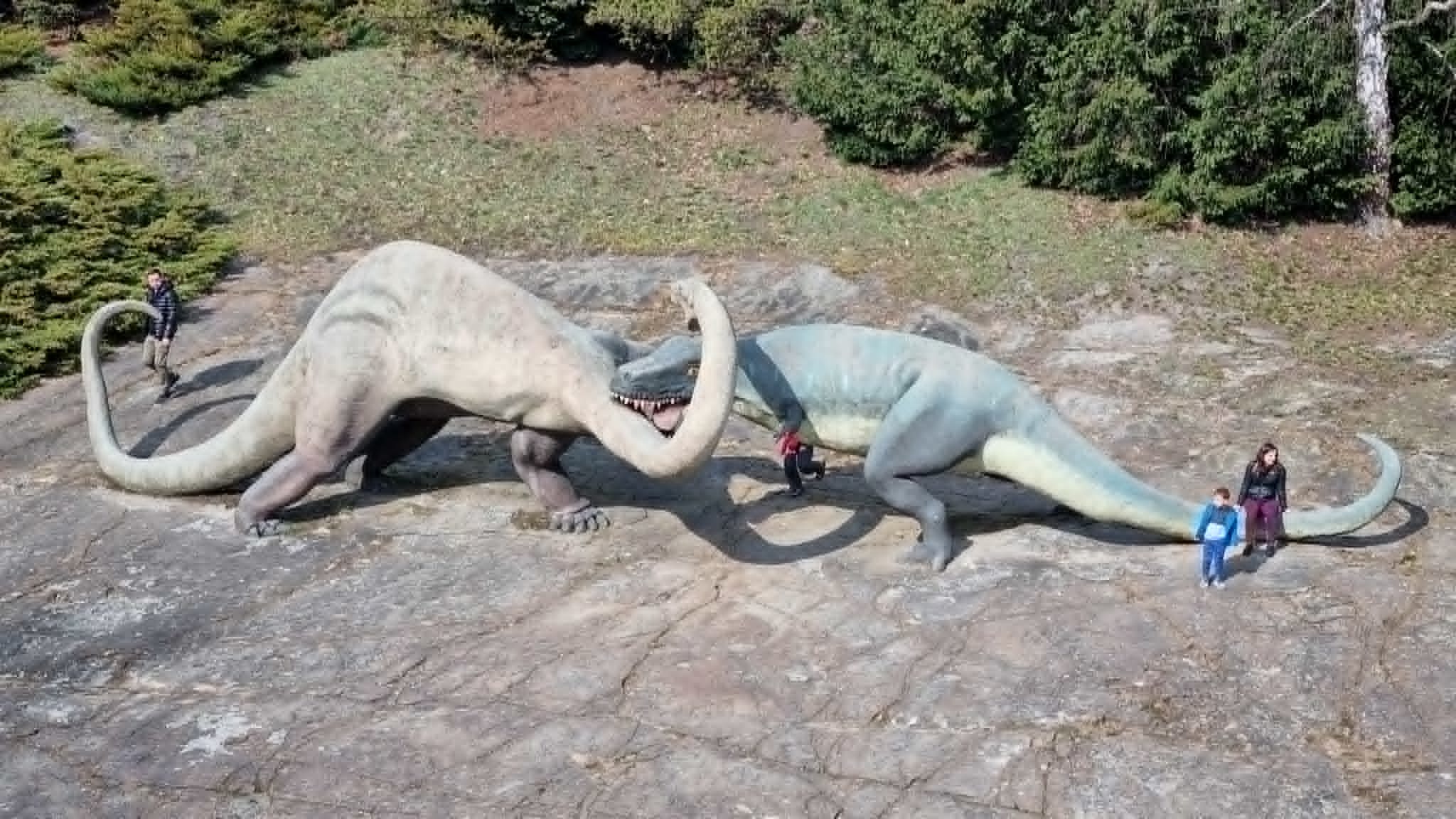 Kladka nad Kotlina Dinozaurow 7