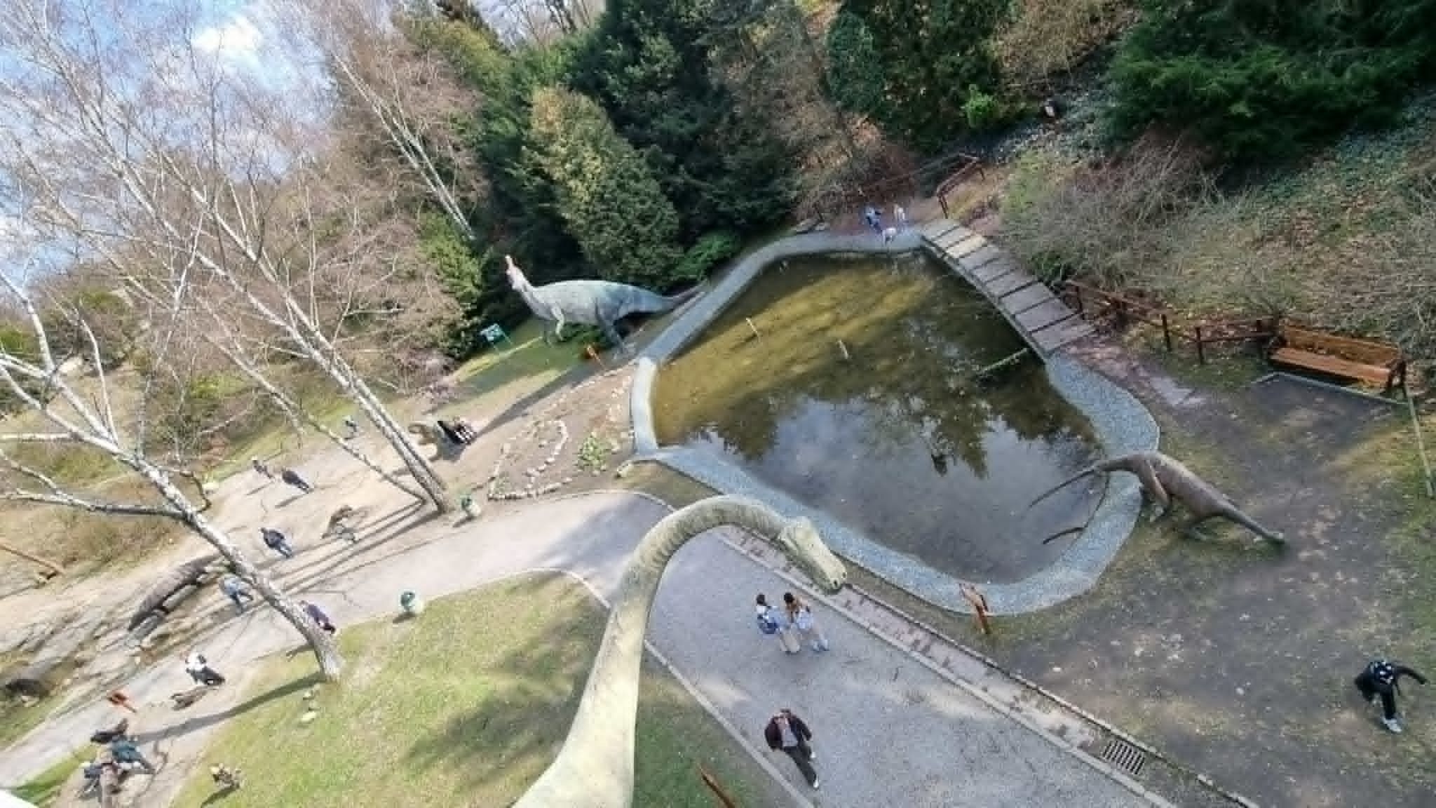 Kladka nad Kotlina Dinozaurow 8