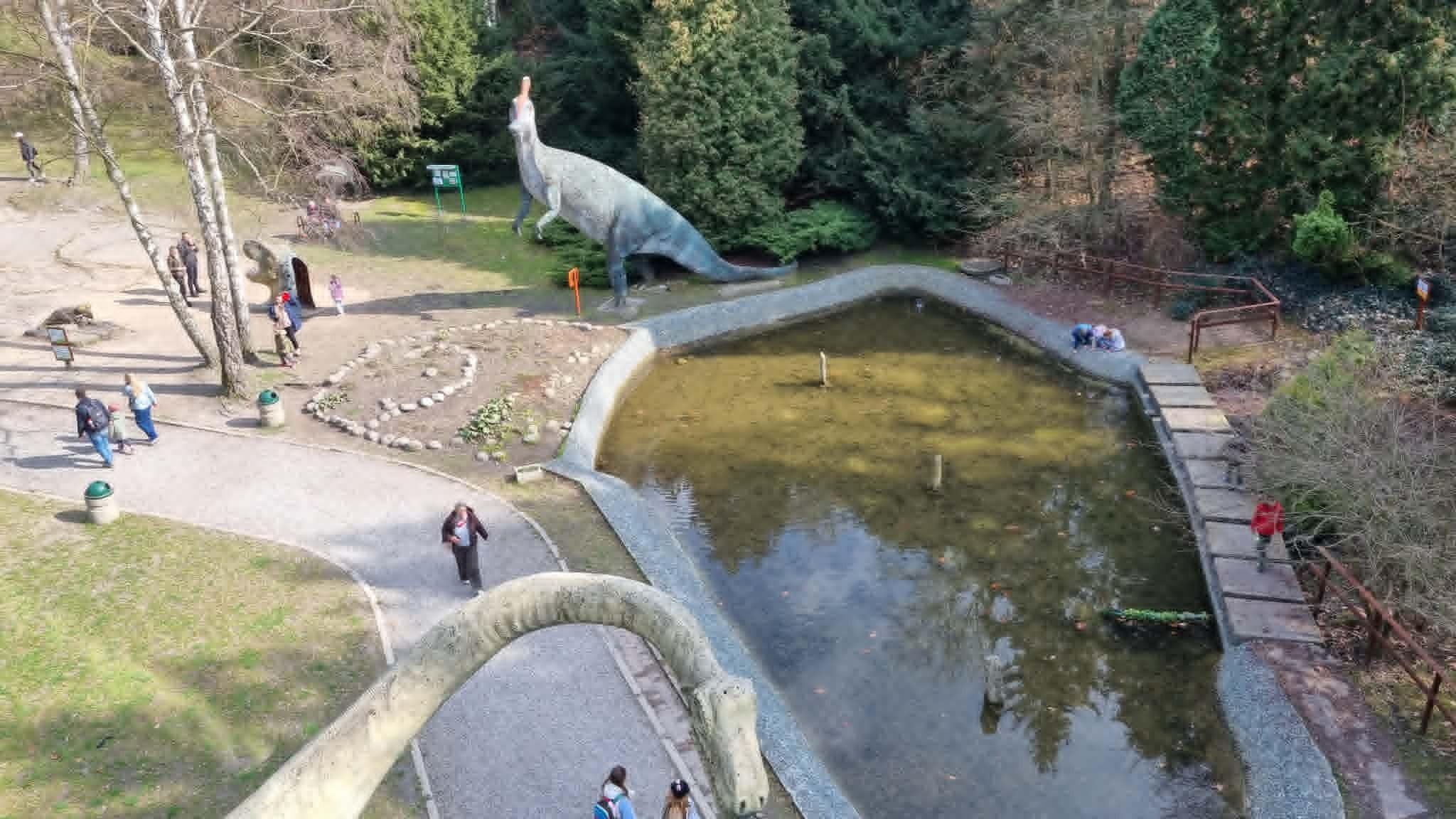 Kladka nad Kotlina Dinozaurow 9