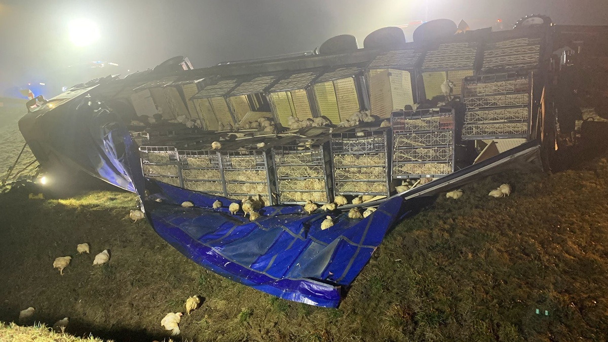 Kluczbork DK45 Wypadek Transportu Kurczakow Fot Pomoc Drogowa Lechmot 2025 03 24 02