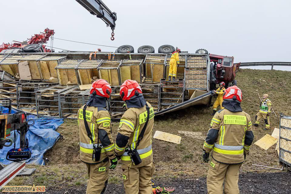 Kluczbork, DK45. Wypadek transportu kurczaków. 24 marca 2025.