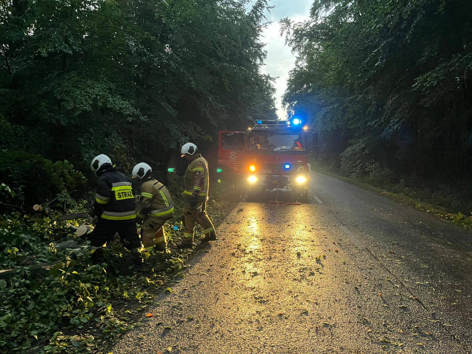 Komenda Powiatowa Państwowej Straży Pożarnej w Krapkowicach 2