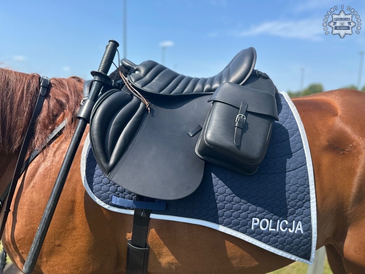 Konie policja Czestochowa 5