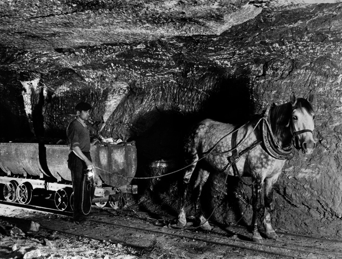 Konny transport kopalnia Bochnia Muzeum Wieliczka