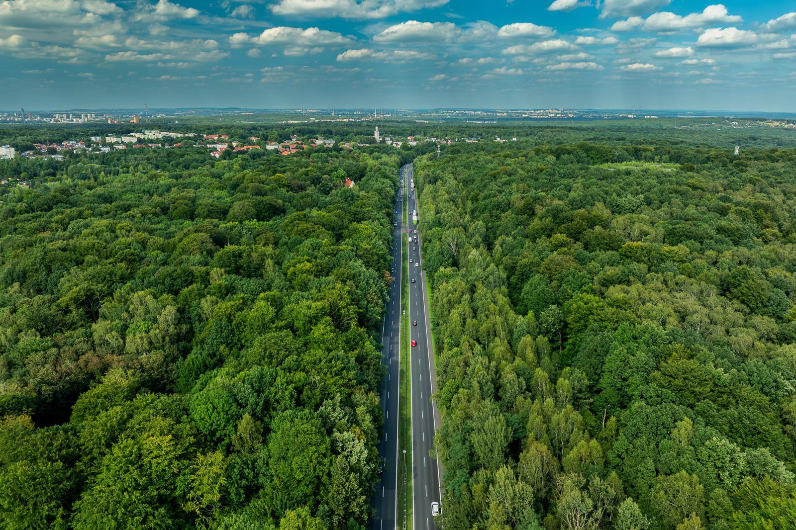Las Murckowski Katowice