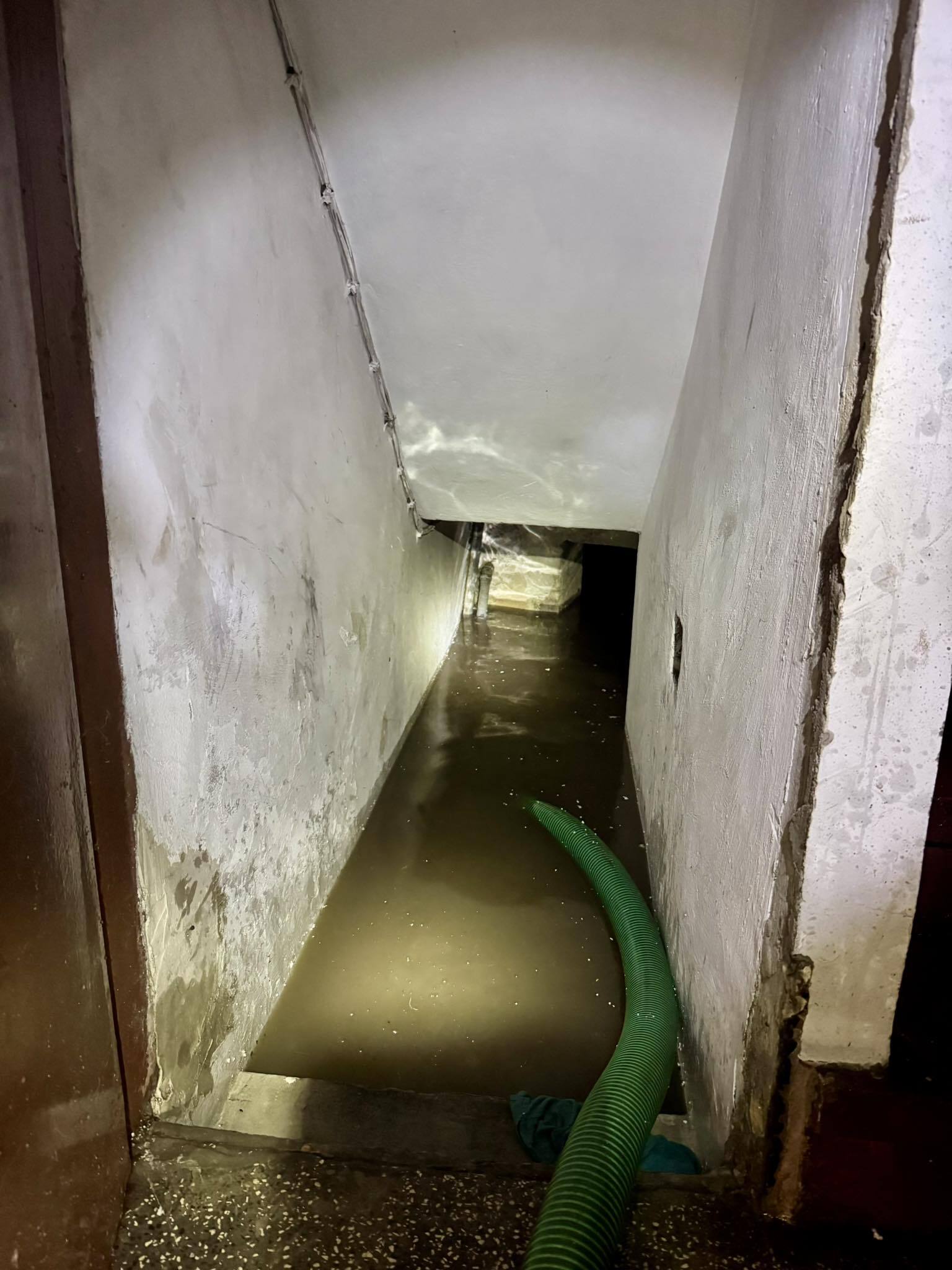 Lidl Mleczna Katowice Zarzecze 28 07 2025 2