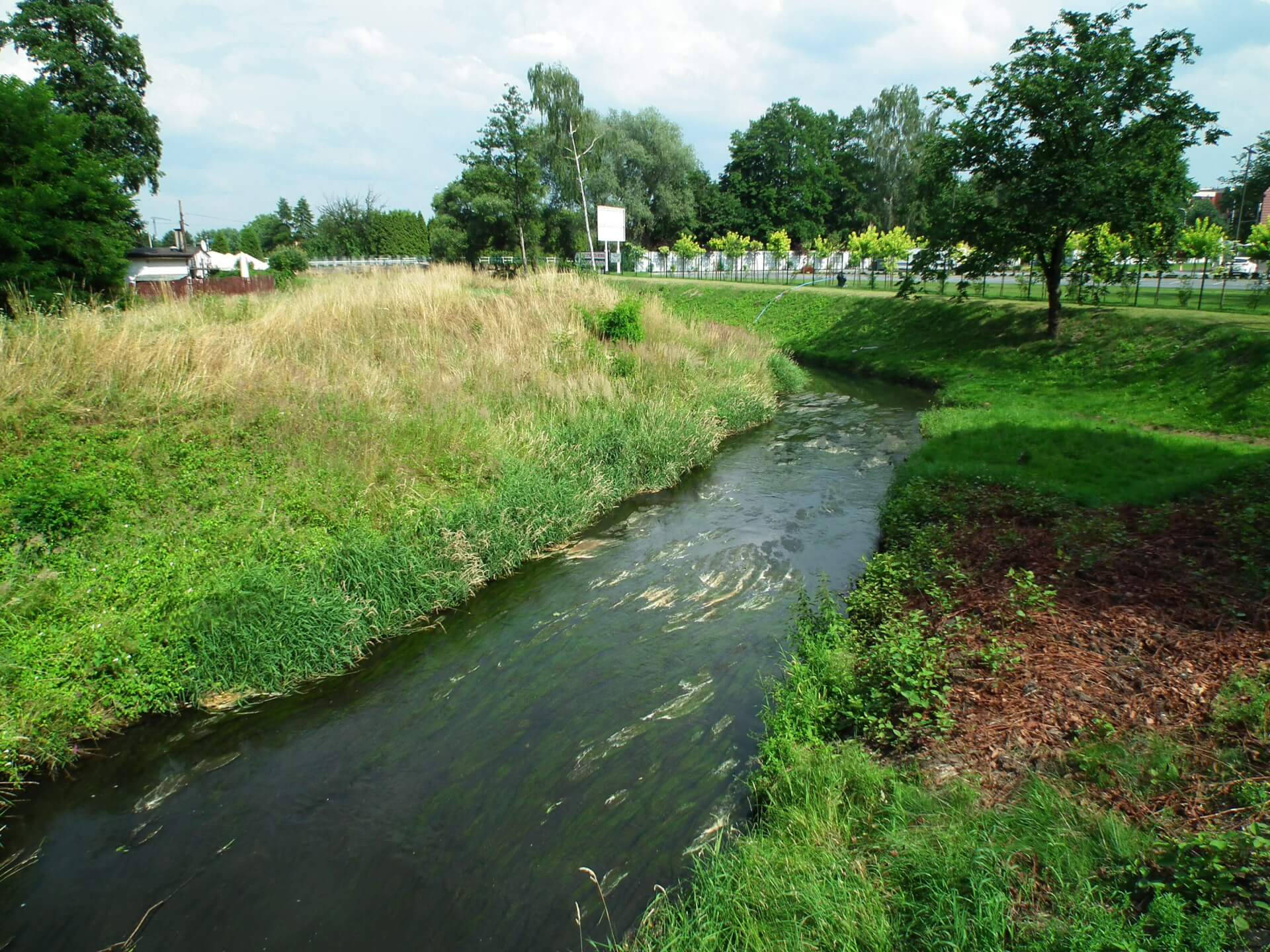 Rzeka Gostynia w Tychach-Paprocanach
