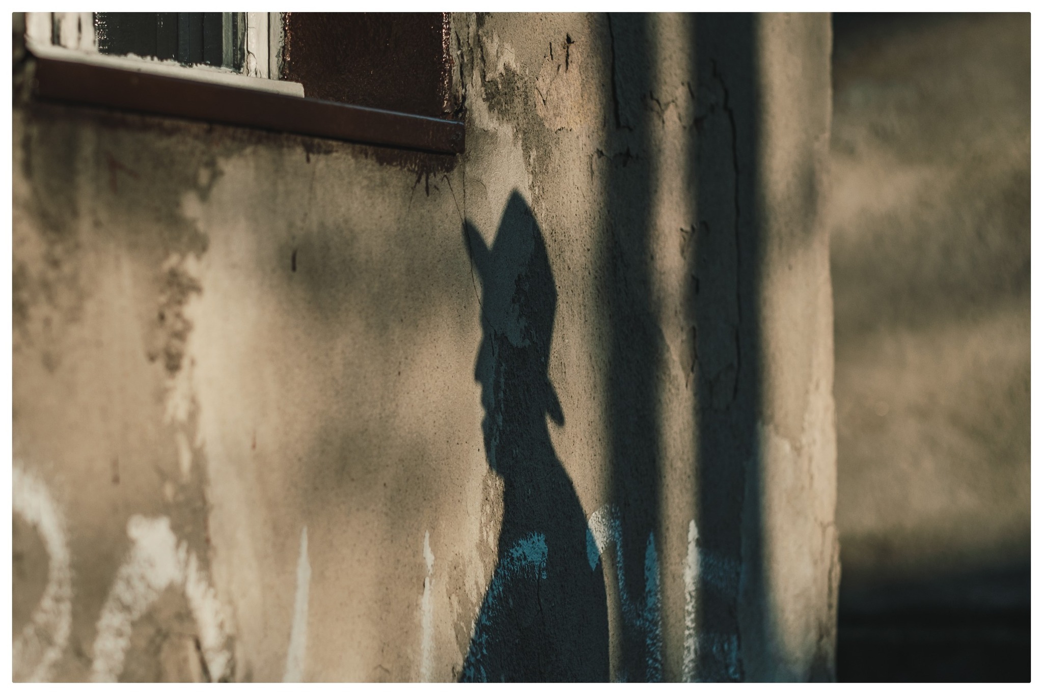 Mateusz Morys fot Hanna Wierzbicka 8