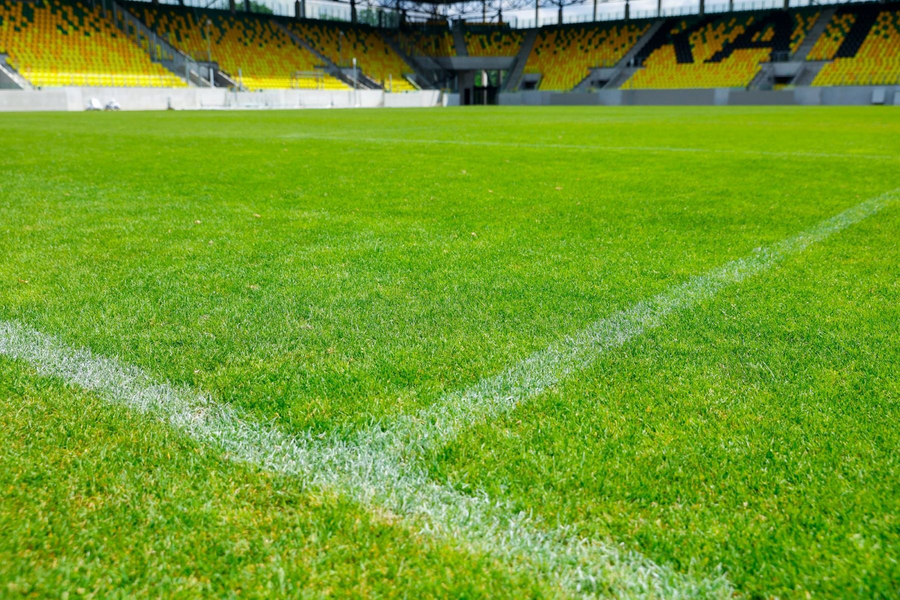 Murawa boisko Arena Katowice