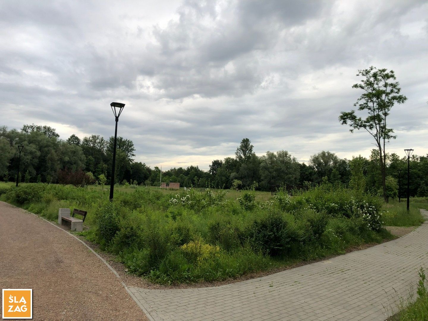 Myslowice Park Promenada Fot Robert Lechowski 2026 06 12 02